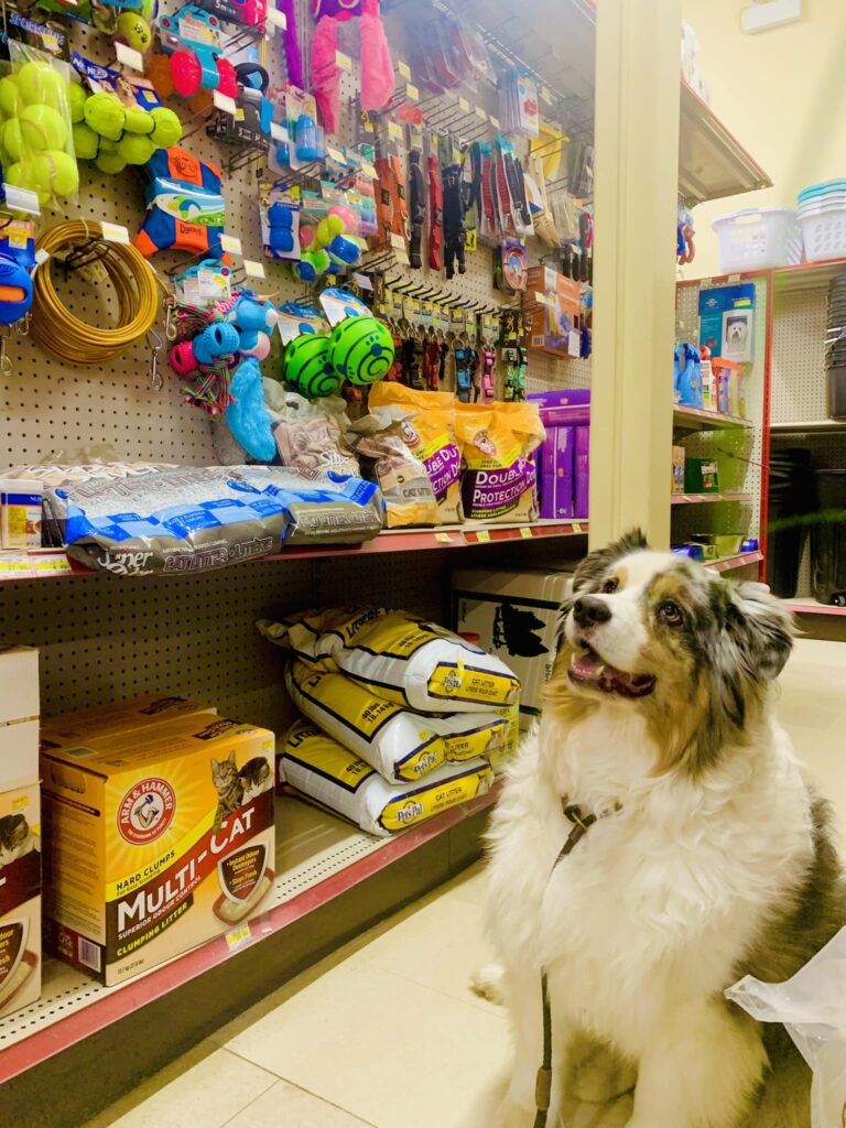 482229519_1191368169445918_7836065834758973451_n