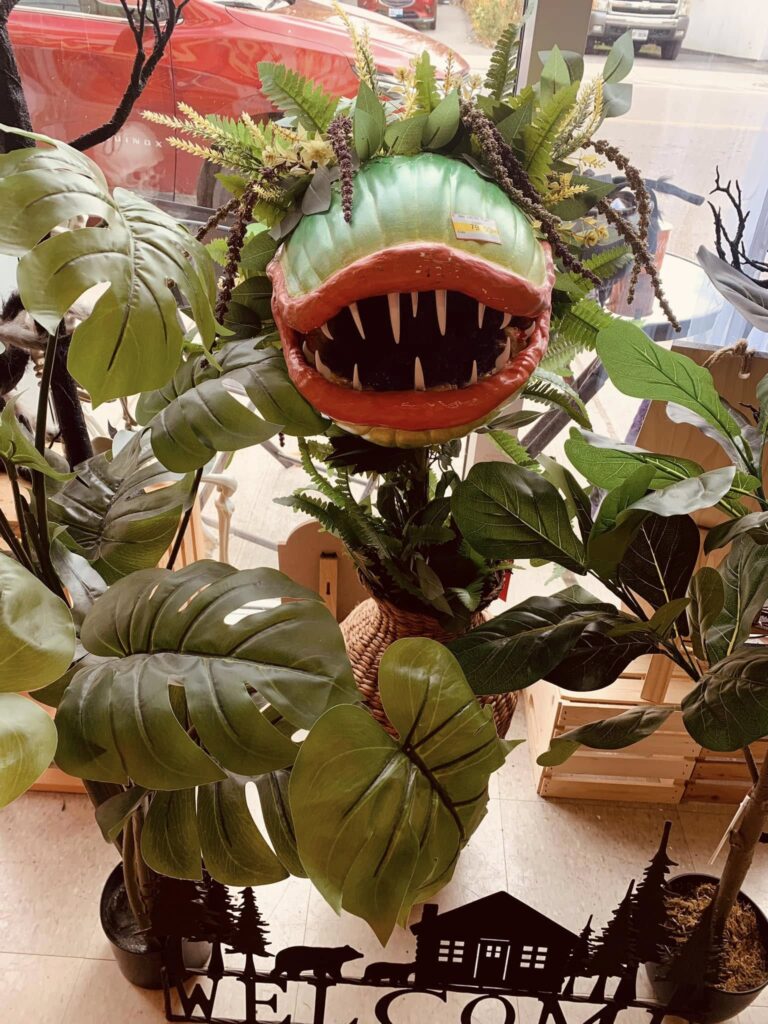 484964359_1196762095573192_3440075905762909373_n