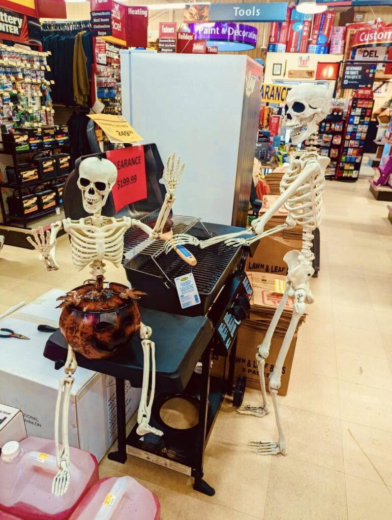 485054347_1196740452242023_5699642956598181493_n