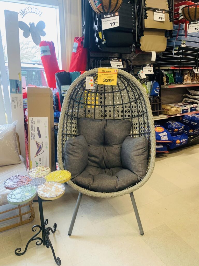 491037734_1219718436610891_3322123308226819277_n