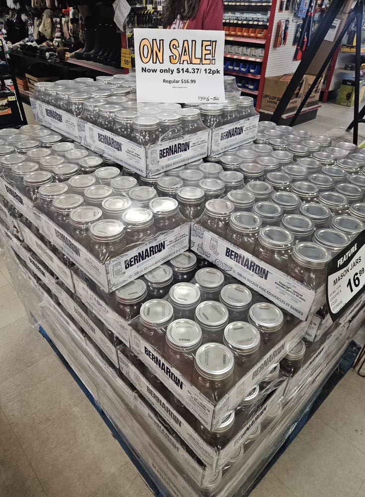 520695356_1288911916358209_2077029095143826568_n