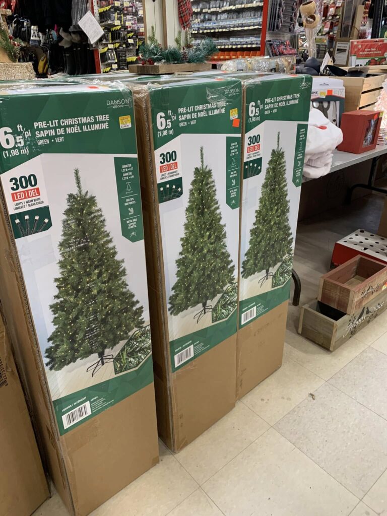 576995501_1384853470097386_2309124999660818695_n