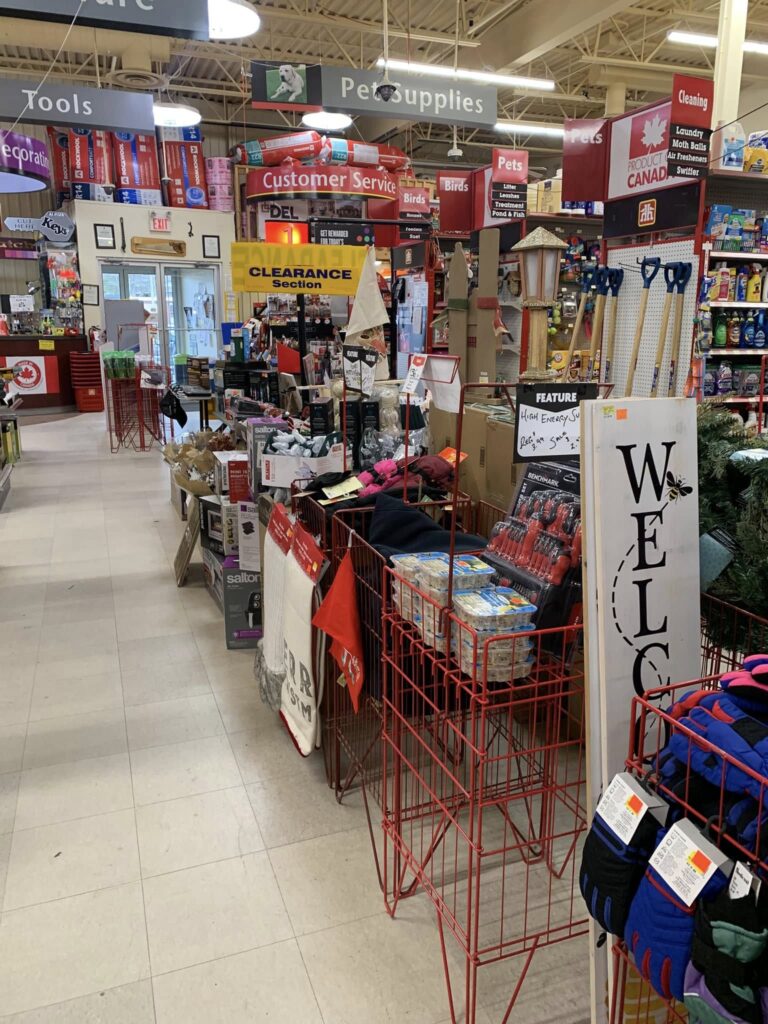 577015925_1384853523430714_7258267900415301962_n